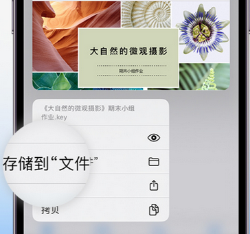 通渭apple维修中心分享iPhone文件应用中存储和找到下载文件