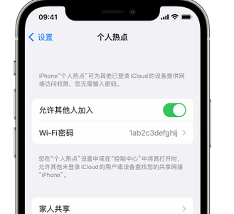 通渭apple服务站点分享iPhone上个人热点丢失了怎么办 