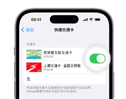 通渭apple维修点分享iPhone上更换Apple Pay快捷交通卡手绘卡面 