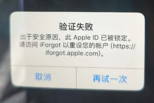 通渭iPhone维修分享iPhone上正常登录或使用AppleID怎么办 