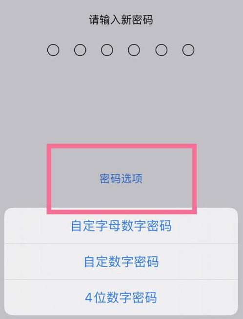 通渭苹果14维修分享iPhone 14plus设置密码的方法 