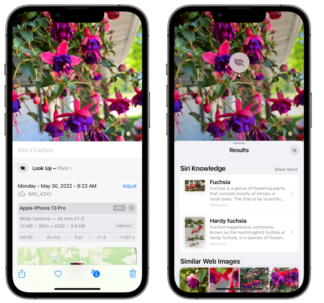 通渭苹果手机维修分享小技巧：使用 iPhone 相机识别花卉植物 