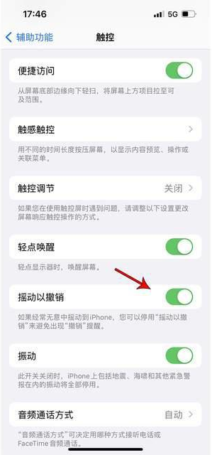 通渭苹果手机维修分享iPhone手机如何设置摇一摇删除文字 