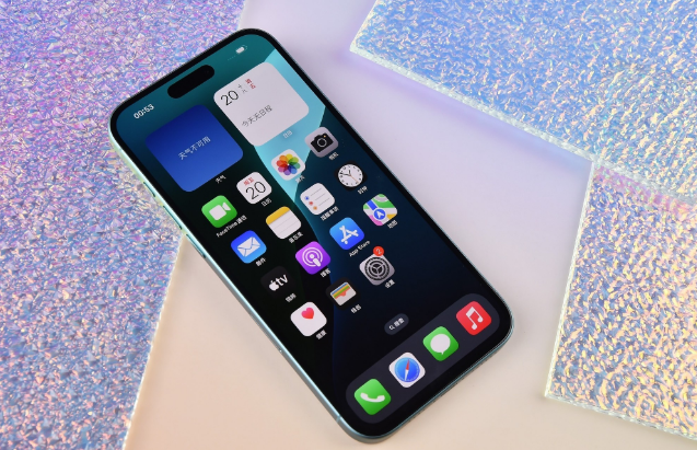 通渭苹果手机维修分享为什么大家不喜欢苹果iPhone 16 Plus 