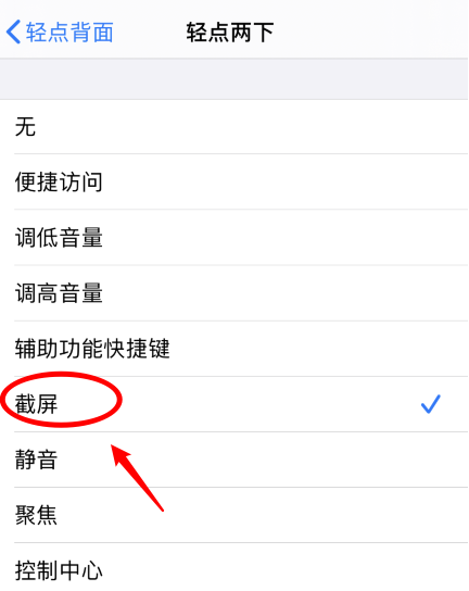 通渭苹果手机维修分享iPhone12如何启用双击截屏 