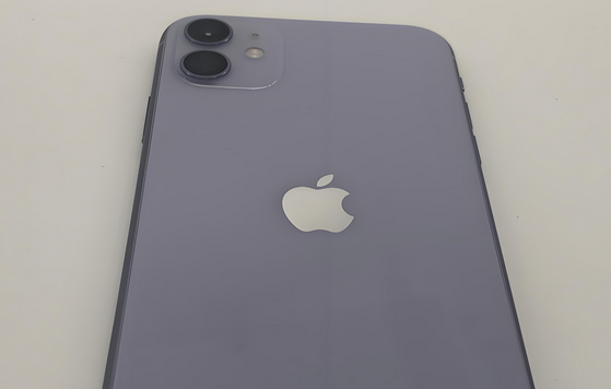 通渭苹果11系统维修分享iPhone11手机系统崩溃无法开机如何解决 